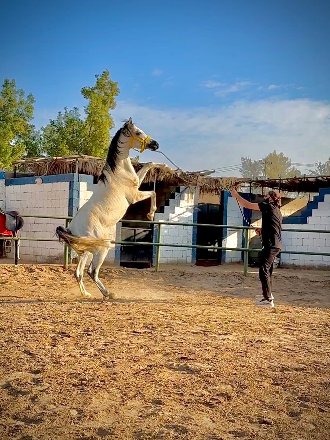 Family-friendly hotel facilities in Makkah