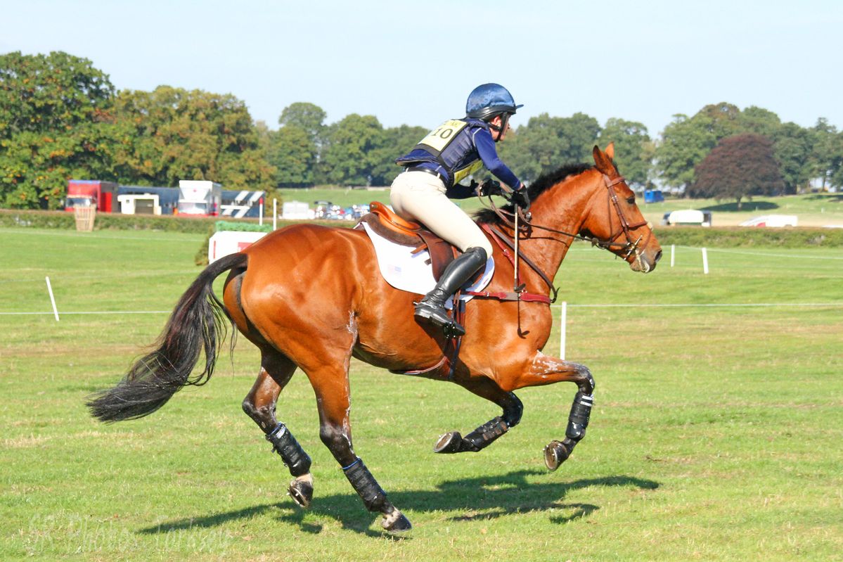Horse riding experience in Madinah for pilgrims
